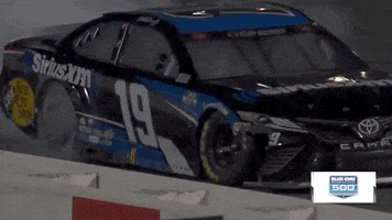 Victory Win GIF by NASCAR