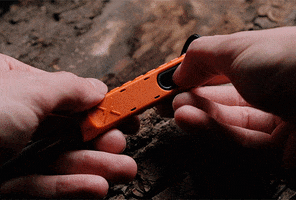 Survival GIF