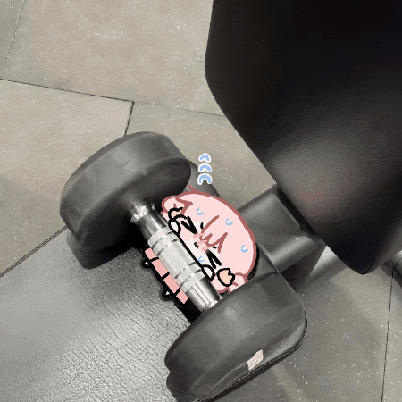 Workout Exercise GIF