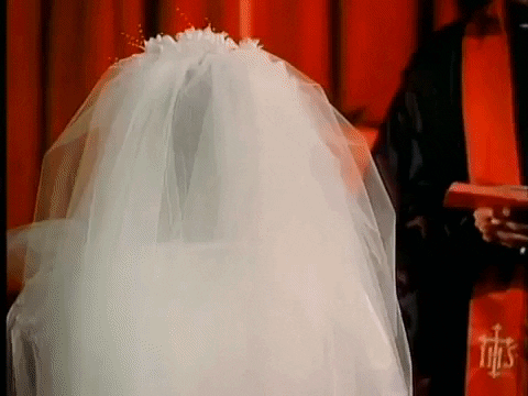 barbie poops in her wedding dress