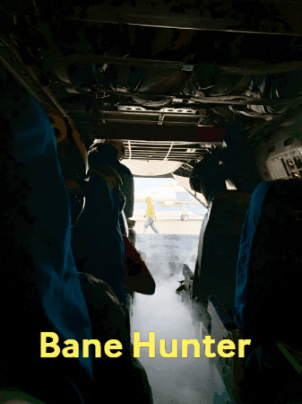 Bane Hunter GIF