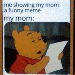 Mbss meme show mom bear GIF