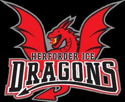 Dragon Puck GIF by Herforder EV