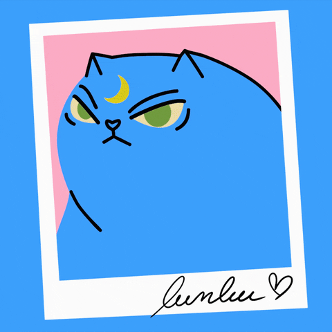 Cat GIF