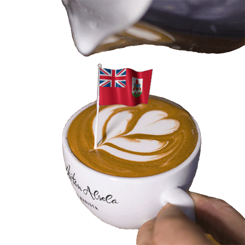Coffee Time Hamilton GIF by Dritan Alsela Coffee