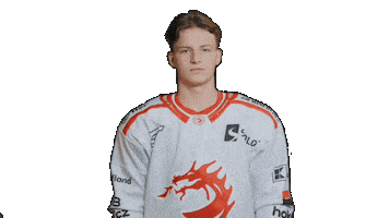 Trinec Sticker by HC Oceláři Třinec