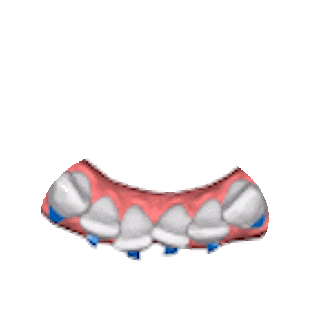 Dentist Smile Sticker by ModernClear