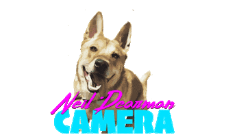 Sticker by Neil Dearman Camera