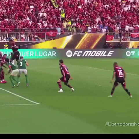 Danilo Sep GIF