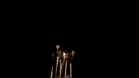 Firework GIF by Pyroland - Firework GIF by Pyroland