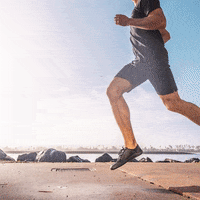 200.gif?cid=60e32e67ivp7dcd4fps4l12c55rn