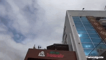 Thelocalguide GIF