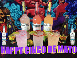Happy Hour Cocktails GIF by Dulce Vida Tequila