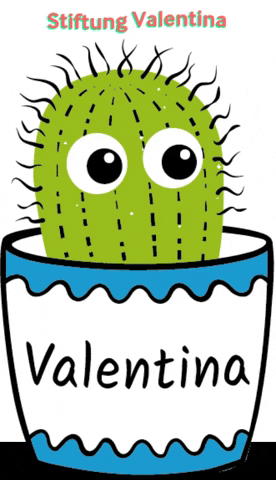 StiftungValentina cactus valentina kaktus stiftung valentina GIF