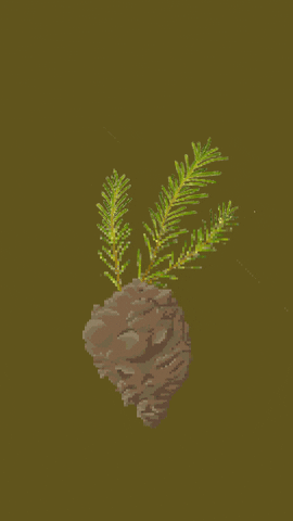 Nature GIF