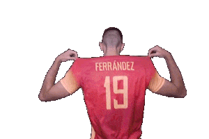 Volleyball Emilio Ferrandez Sticker by RedLynxes