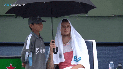 giphy-downsized-large.gif