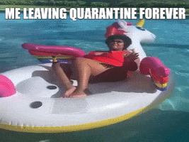 Quarantine GIF by Explorer Chick