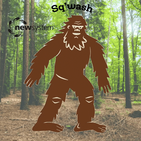 NewSystemLaundry GIF