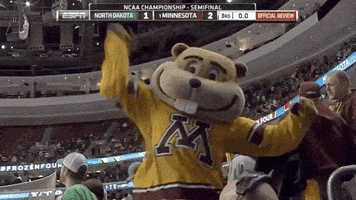 Ice Hockey Celebration GIF by NCAA Championships
