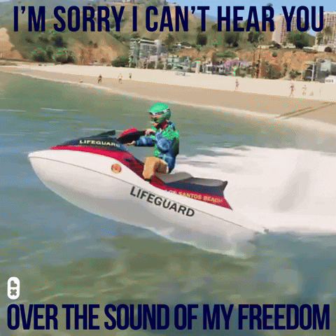 I Cant Hear You Grand Theft Auto GIF by DAZZLE SHIP