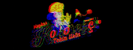 kokoreccitekinusta GIF