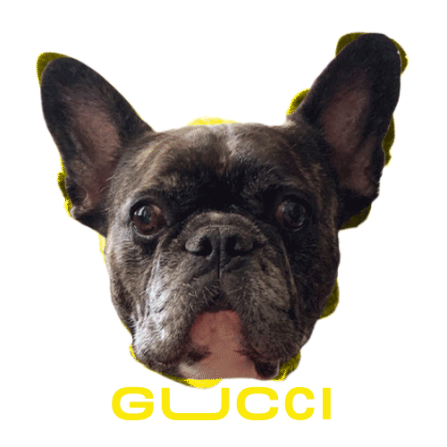 Dog Puppy Sticker by Barbarian