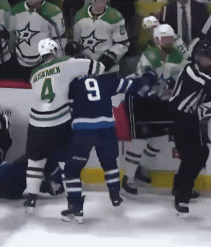 Dallas Stars Fight GIF by RYSE