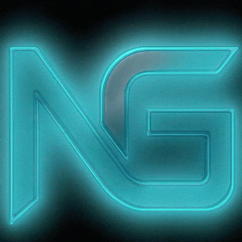 notgpt GIF