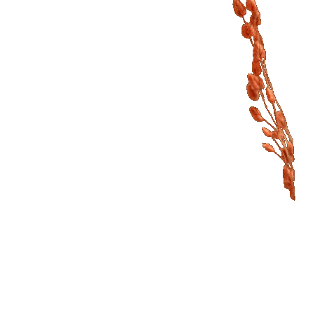 Flowers Orange Sticker by mujajuma