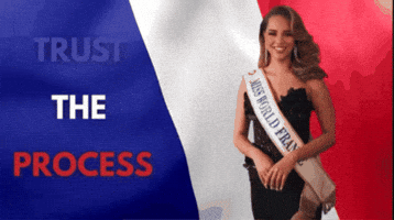 France GIF