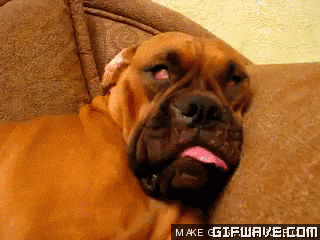 Sleepy GIF - Find & Share on GIPHY