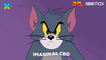 Angry Tom And Jerry GIF by Imaginal Biotech