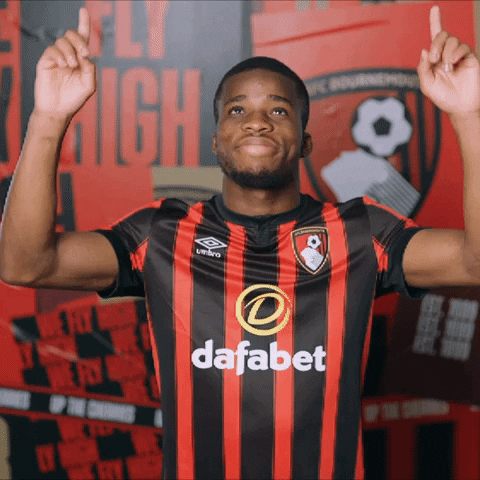 Football Army GIF by AFC Bournemouth