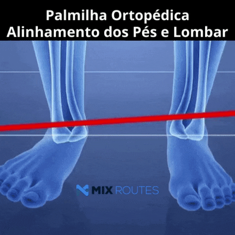 Palmilha Ortopédica