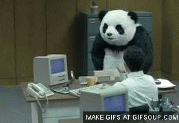 giphy.gif?cid=ecf05e47cf33a47845b3e4f022