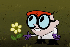 Flower GIF