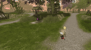 Pvpmt2 GIF