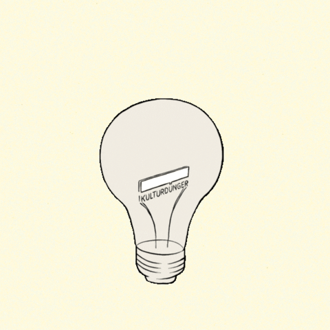 Cash Lightbulb GIF by kulturdünger