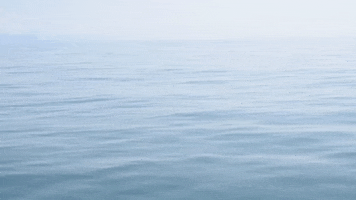 Sea Mar GIF by jorgemariozuleta