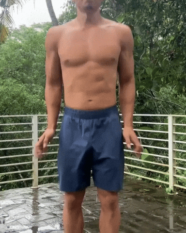 giphy.gif