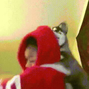Dog Humping GIF