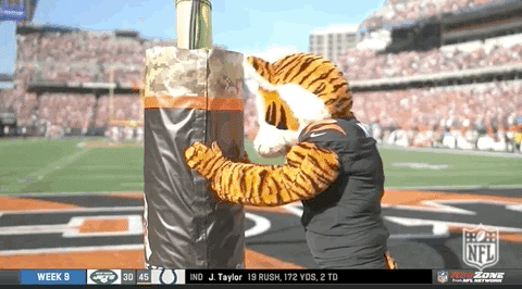 Angry Who Dey GIF by NFL