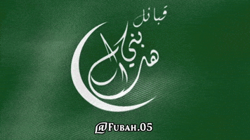 Saudi Arabia Egypt GIF