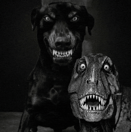 Scared T-Rex GIF by Botflow