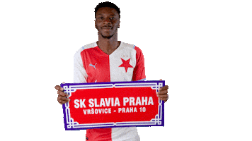 Football Home Sticker by SK Slavia Praha