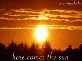 Here Comes The Sun Cat GIF