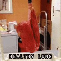 Lungs Gifs Get The Best Gif On Giphy