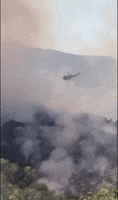Northern California Fire GIF by Storyful