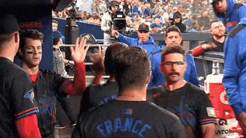 Blue Jays Baseball GIF by Toronto Blue Jays